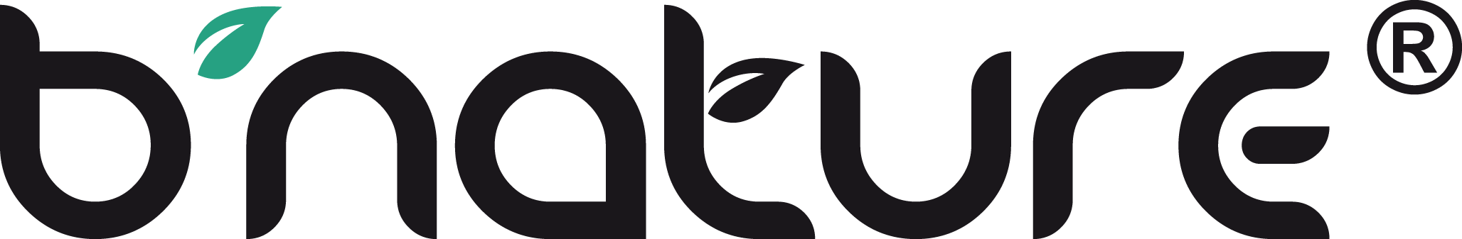 bnature logo_without background.png